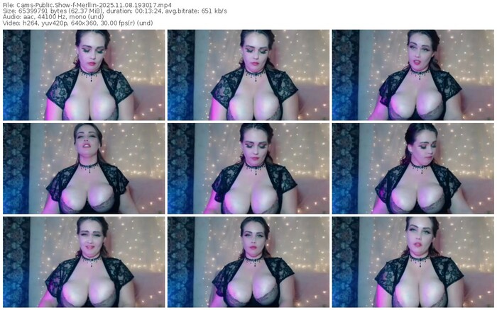 cams-merllin-11-08-2025-19-30-17