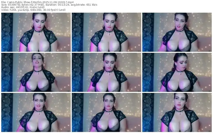 cams-merllin-11-08-2025-19-30-17