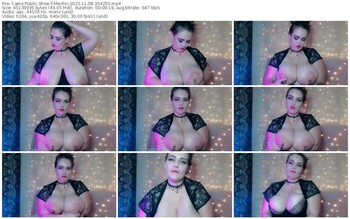 cams-merllin-11-08-2025-20-42-55