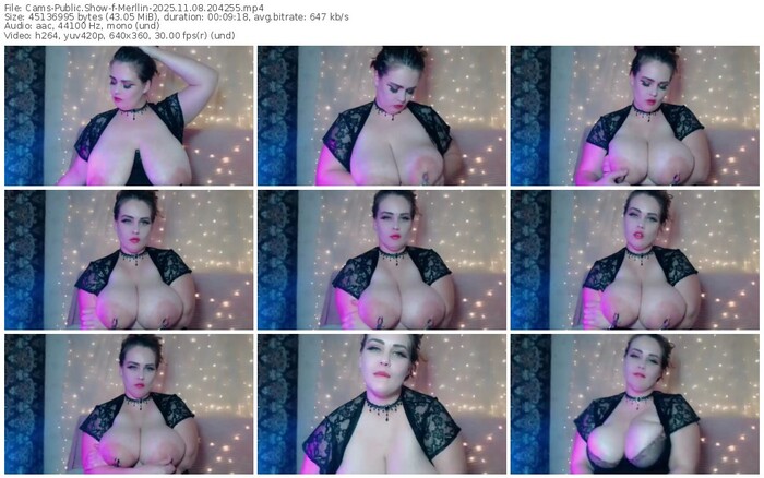 cams-merllin-11-08-2025-20-42-55