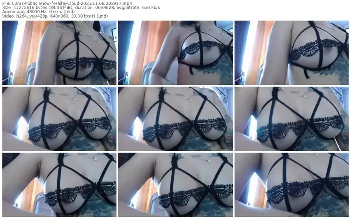 cams-halleycloud-11-09-2025-20-29-17