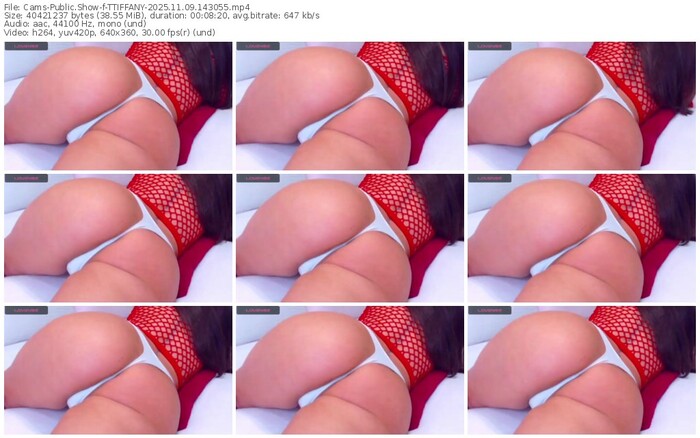 cams-ttiffany-11-09-2025-14-30-55