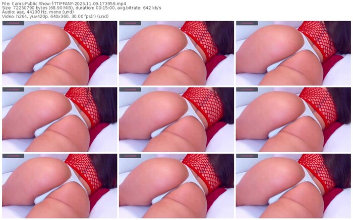 cams-ttiffany-11-09-2025-17-39-59