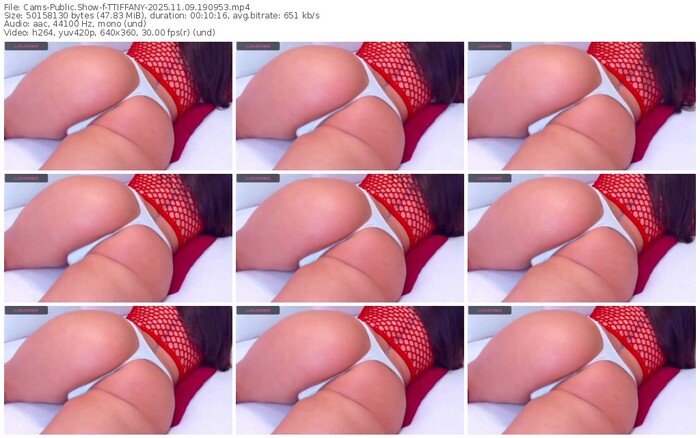 cams-ttiffany-11-09-2025-19-09-53