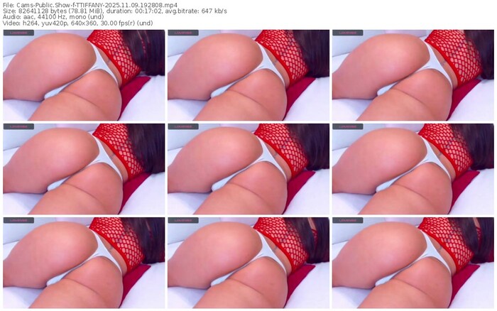 cams-ttiffany-11-09-2025-19-28-08