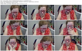 cams-adeleemodel-11-10-2025-06-06-40