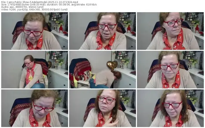 cams-adeleemodel-11-10-2025-07-23-18