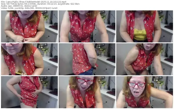 cams-adeleemodel-11-10-2025-10-11-22