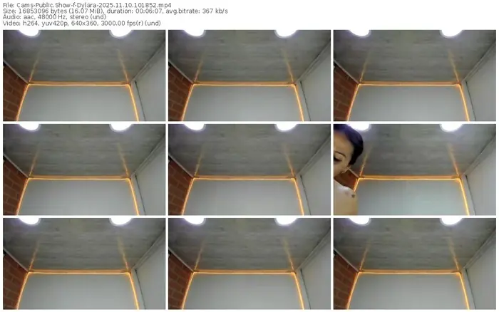cams-dylara-11-10-2025-10-18-52