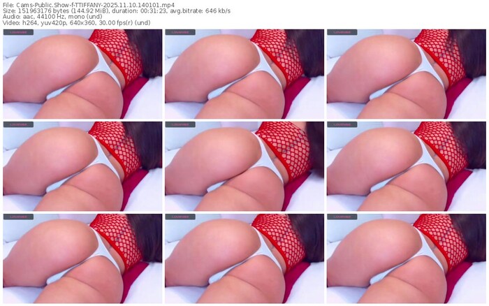 cams-ttiffany-11-10-2025-14-01-01