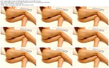 cams-carina008-11-12-2025-23-01-13