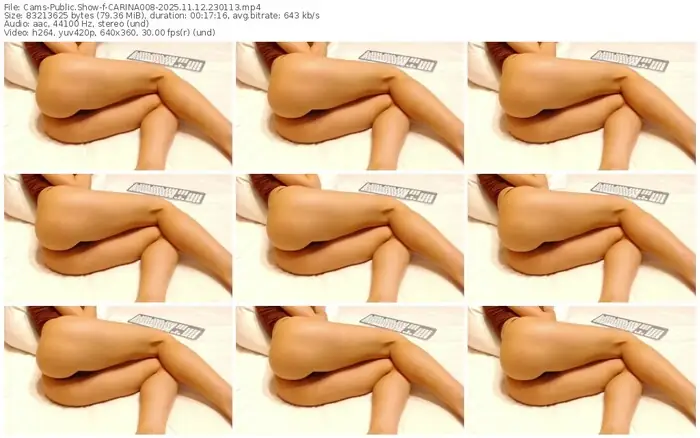 cams-carina008-11-12-2025-23-01-13