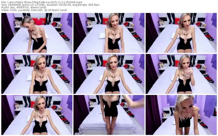 cams-playfulerica-11-12-2025-05-42-09