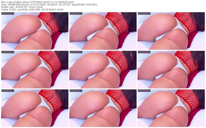 cams-ttiffany-11-12-2025-04-05-28