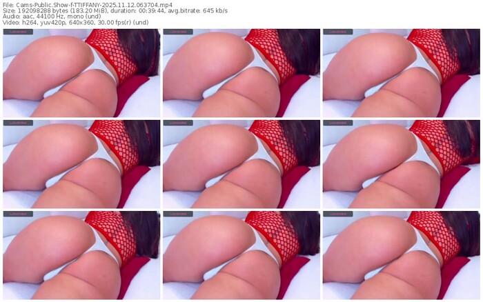 cams-ttiffany-11-12-2025-06-37-04