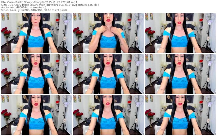 cams-rhubyts-11-12-2025-17-21-01