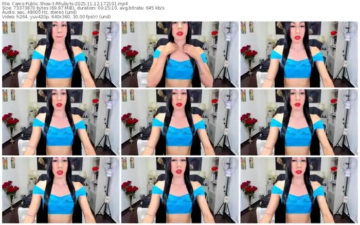 cams-rhubyts-11-12-2025-17-21-01