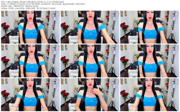 cams-rhubyts-11-12-2025-17-45-28