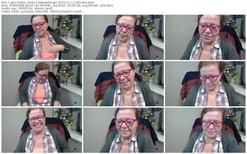 cams-adeleemodel-11-13-2025-04-54-43