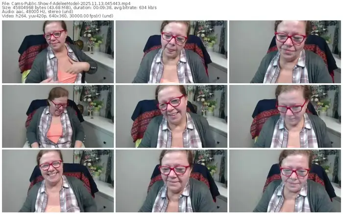 cams-adeleemodel-11-13-2025-04-54-43