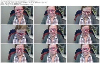 cams-adeleemodel-11-13-2025-05-37-33