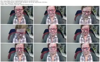 cams-adeleemodel-11-13-2025-05-37-33