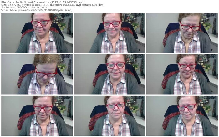 cams-adeleemodel-11-13-2025-05-37-33