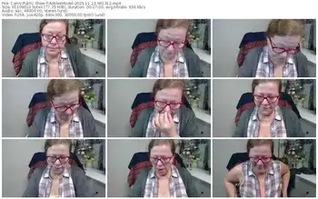 cams-adeleemodel-11-13-2025-06-13-12