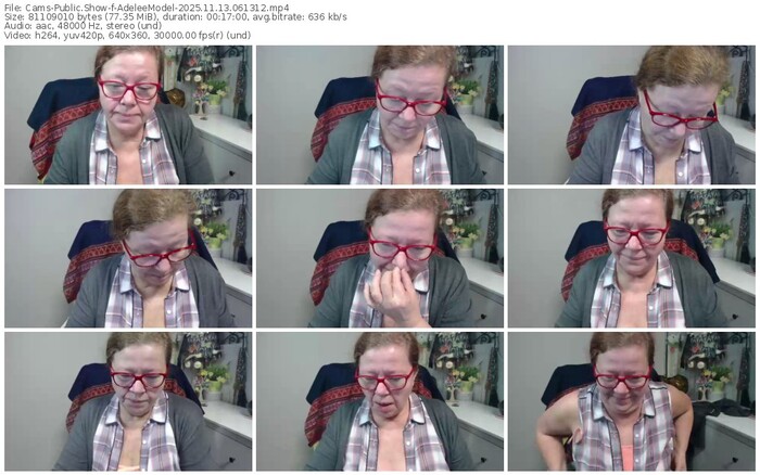 cams-adeleemodel-11-13-2025-06-13-12