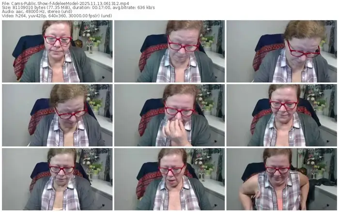 cams-adeleemodel-11-13-2025-06-13-12