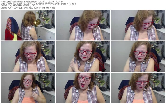 cams-adeleemodel-11-13-2025-07-56-52