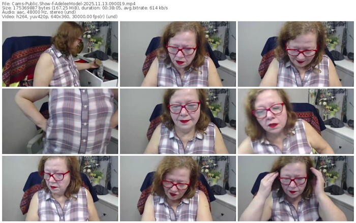 cams-adeleemodel-11-13-2025-09-00-19