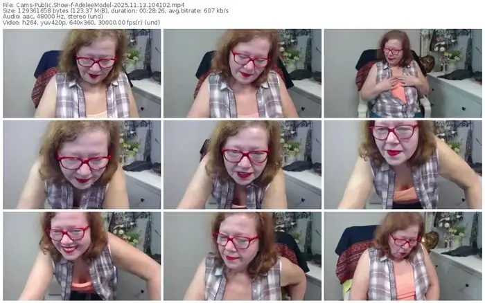 cams-adeleemodel-11-13-2025-10-41-02