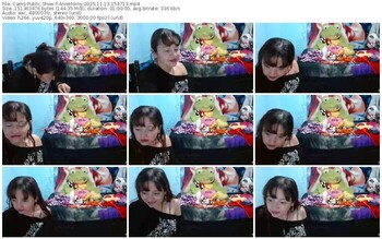 cams-aniehorny-11-13-2025-15-47-13