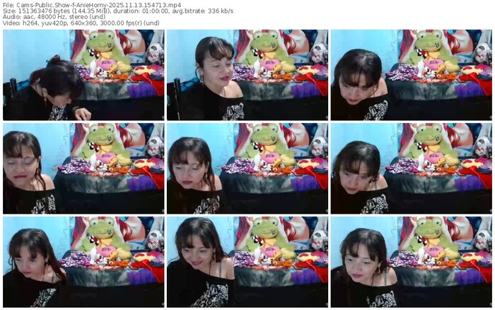 cams-aniehorny-11-13-2025-15-47-13