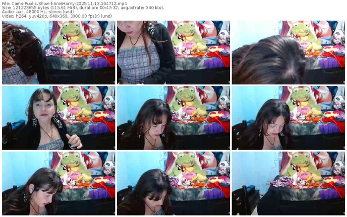 cams-aniehorny-11-13-2025-16-47-12