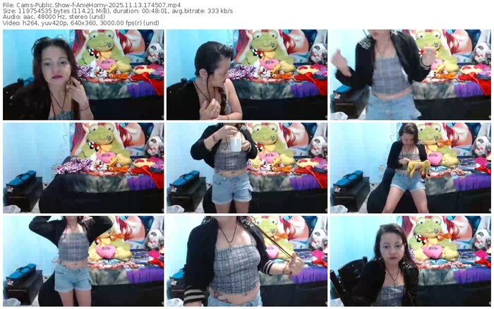 cams-aniehorny-11-13-2025-17-45-07