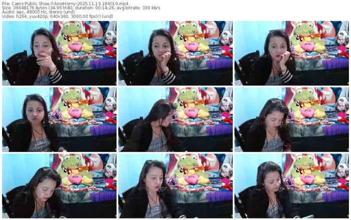 cams-aniehorny-11-13-2025-18-40-10