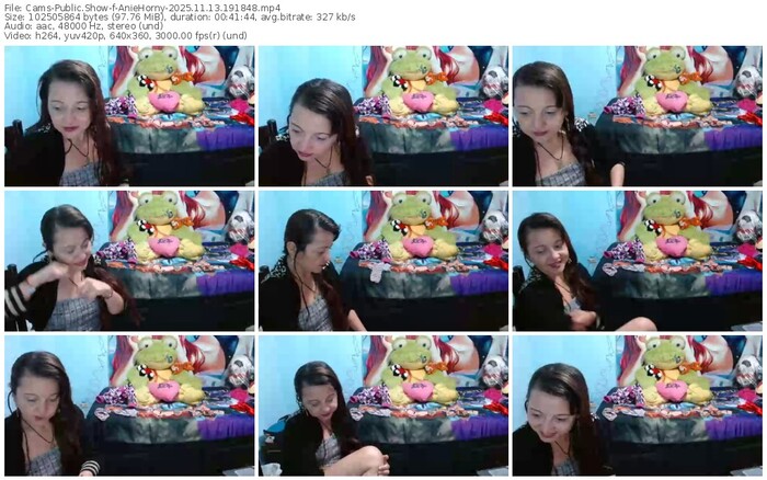 cams-aniehorny-11-13-2025-19-18-48