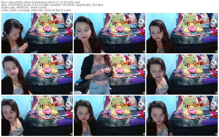 cams-aniehorny-11-13-2025-21-14-01