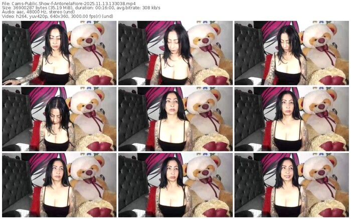 cams-antonelafiore-11-13-2025-13-30-38