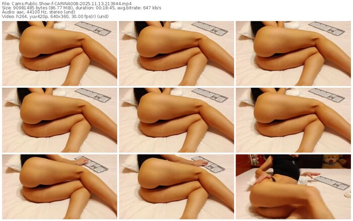 cams-carina008-11-13-2025-21-39-44