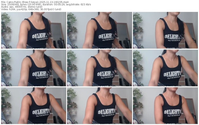 cams-seiya1-11-13-2025-16-02-35