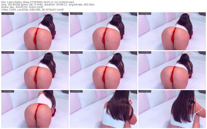 cams-ttiffany-11-13-2025-12-39-18