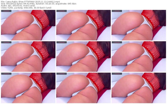 cams-ttiffany-11-13-2025-14-46-12