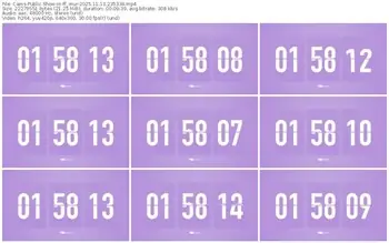 cams-ff_mur-11-13-2025-23-53-36