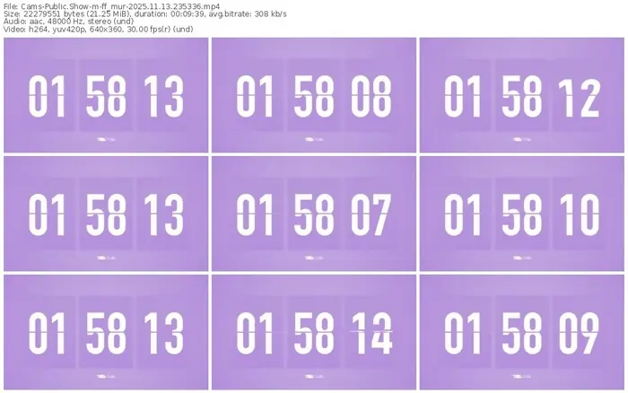 cams-ff_mur-11-13-2025-23-53-36