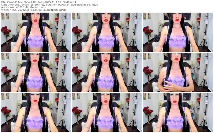 cams-rhubyts-11-13-2025-21-31-48