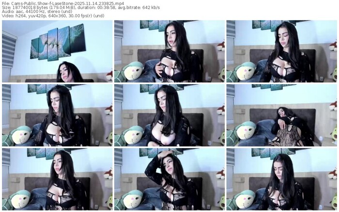 cams-lasestone-11-14-2025-23-38-25