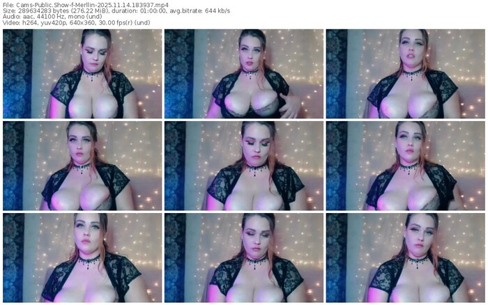 cams-merllin-11-14-2025-18-39-37